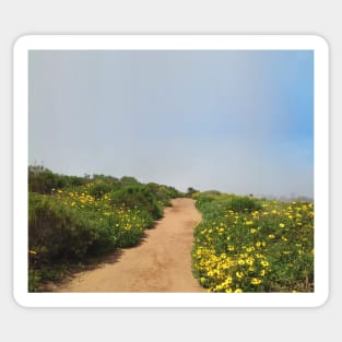 Morning Walk Through Flower Field in San Diego Sticker